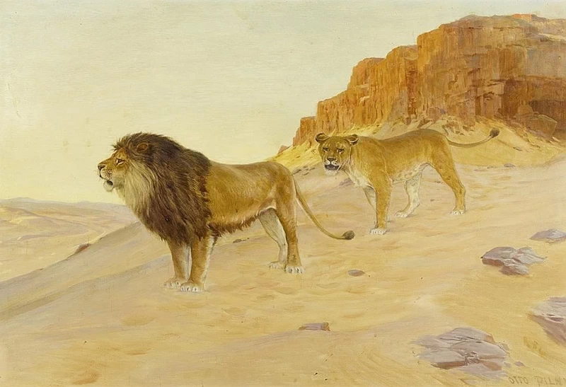 Coppia di leoni nel deserto davanti alle rocce rosse. 1926